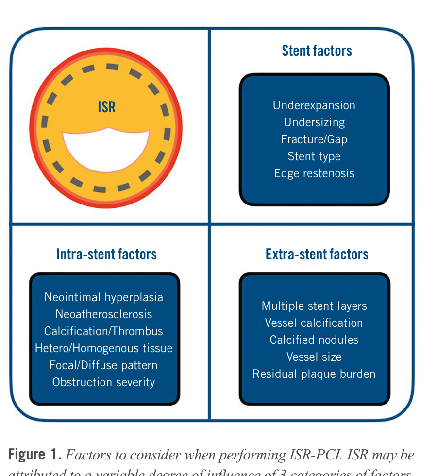 ISR contributing factors: extra-stent, stent-related, intra-stent
