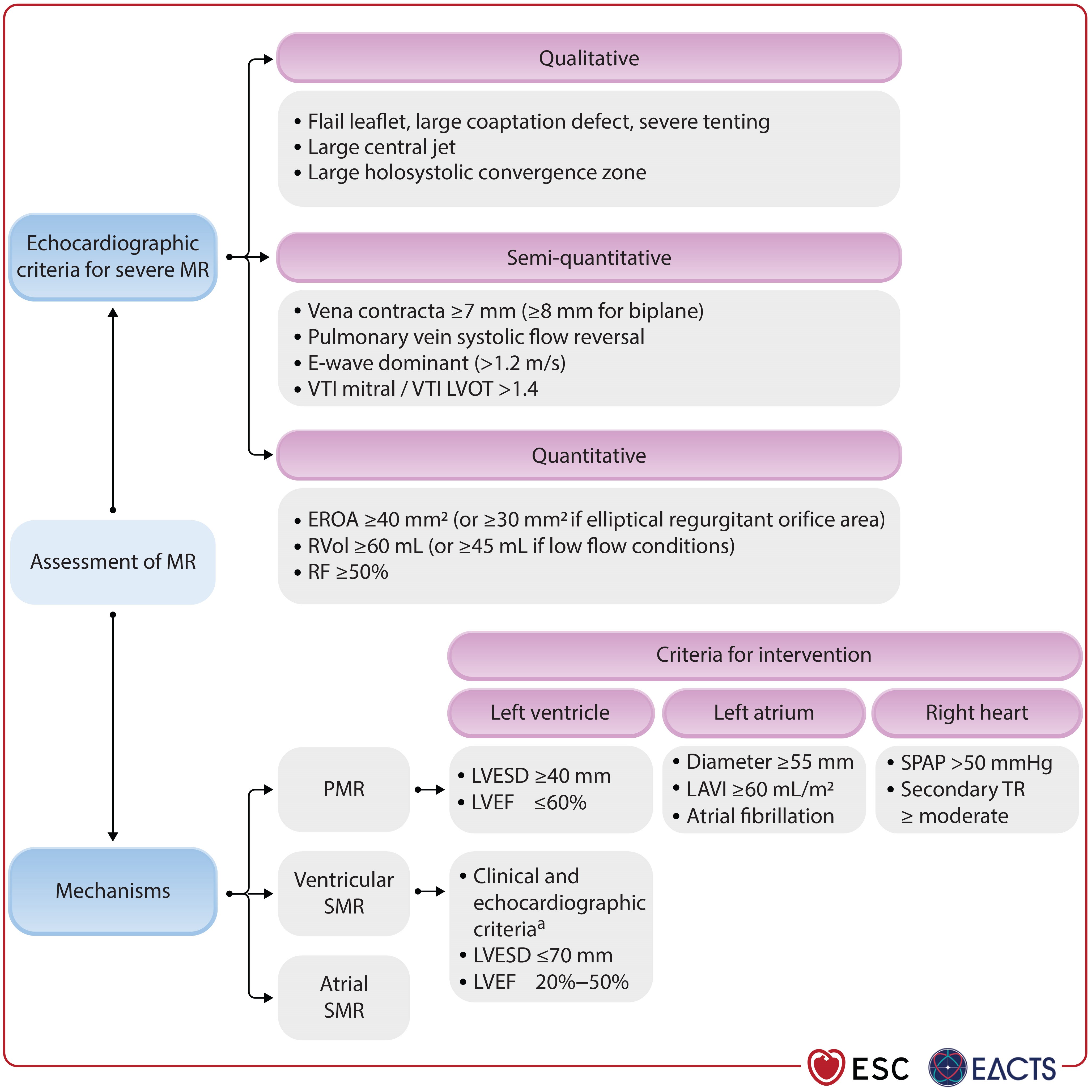 ESC 2025 Figure 10: Echocardiographic assessment of patients with mitral regurgitation