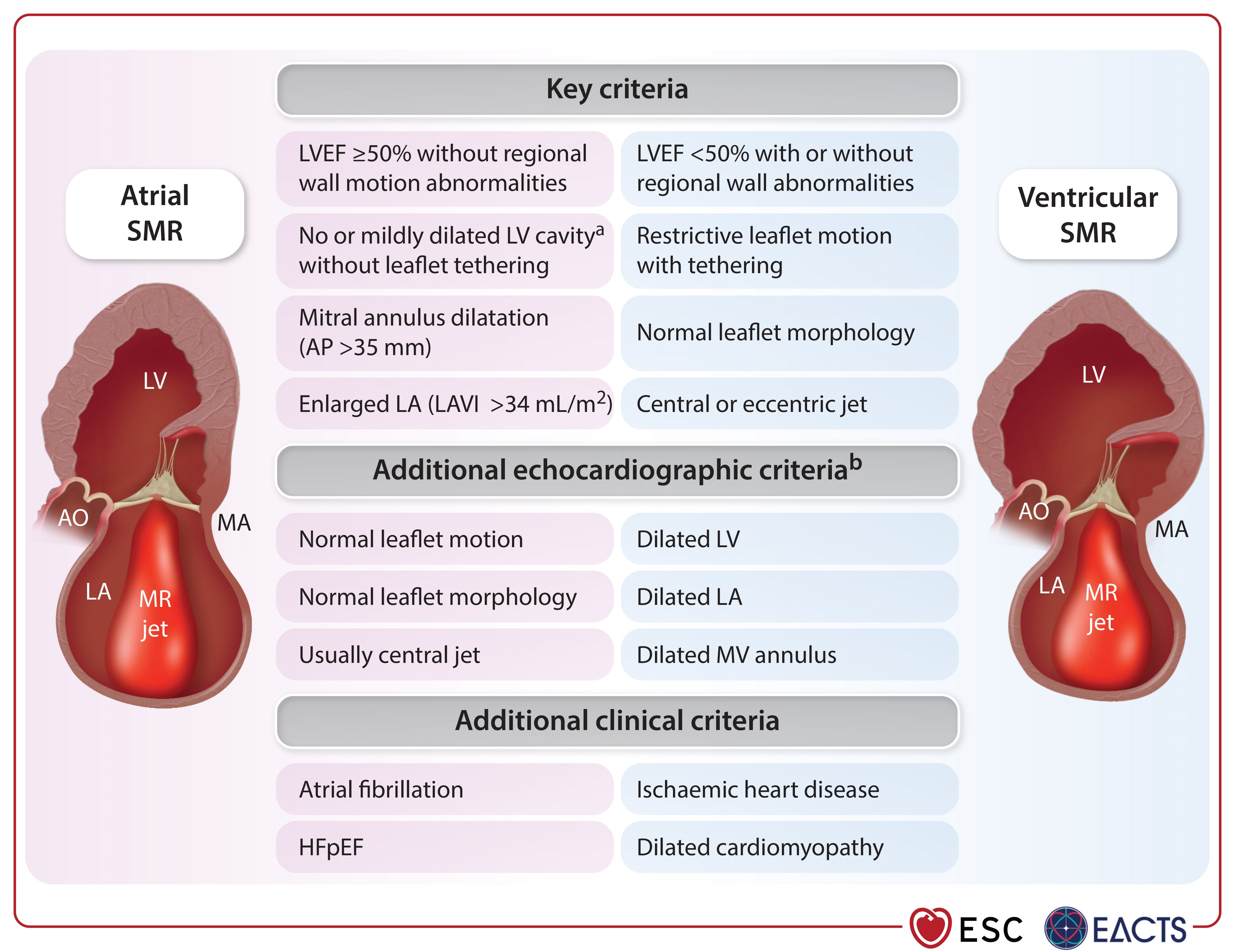ESC 2025 Figure 12: Most frequently used criteria for the diagnosis of atrial secondary mitral regurgitation