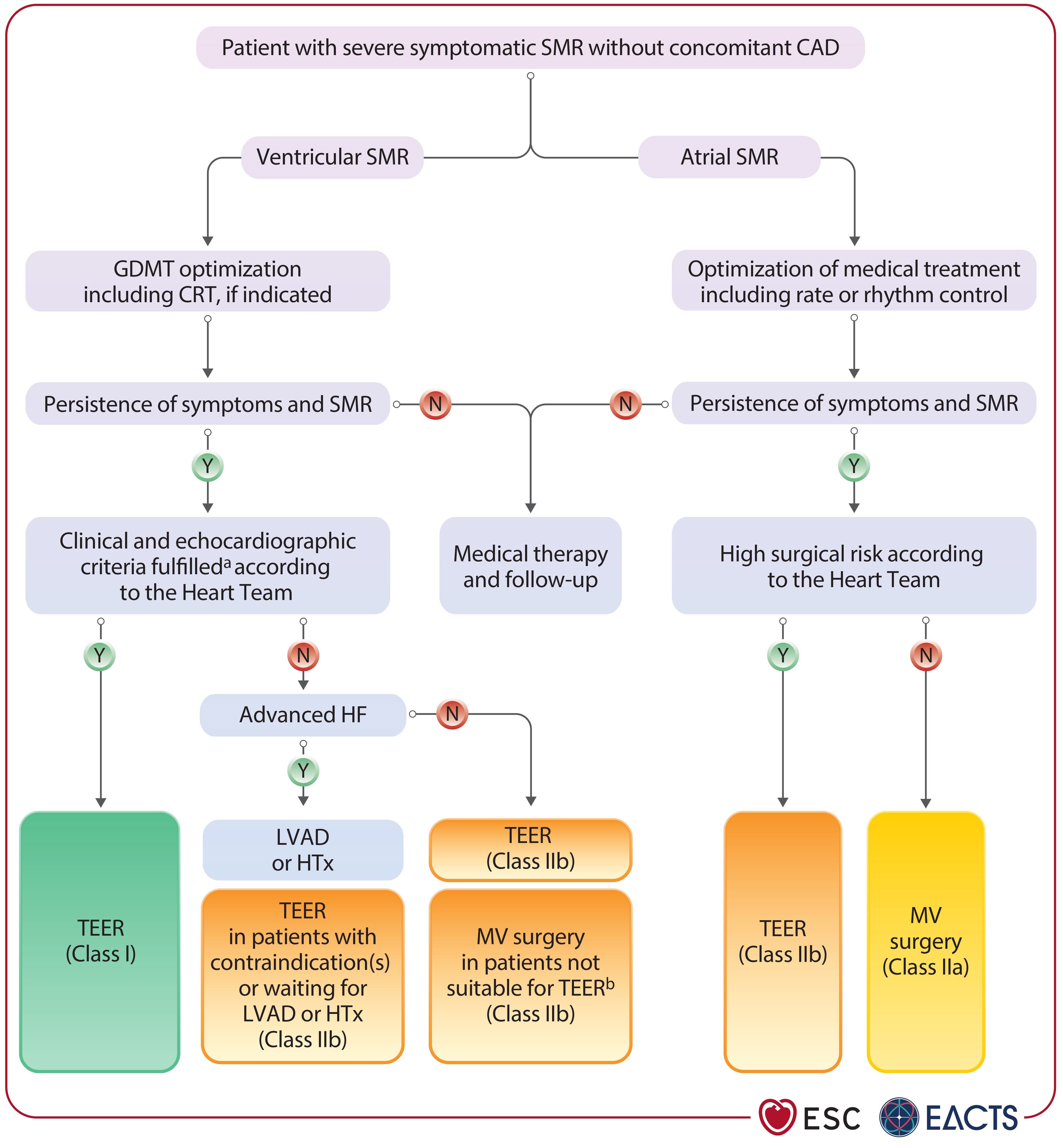 ESC 2025 Figure 13: Treatment of severe secondary mitral regurgitation without concomitant coronary artery disease